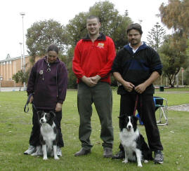 Gundog Club of SA - Endurance Test - some of the dogs entered