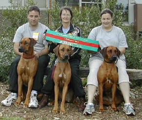 Gundog Club of SA - Endurance Test - some of the dogs entered